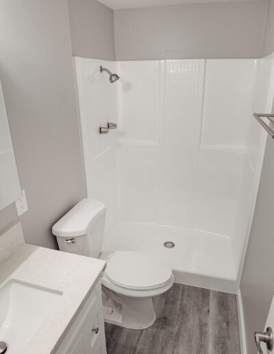 A modern bathroom with a white sink, mirror cabinet, toilet, and a corner shower enclosure. The walls are painted light grey, and the floor has dark wood-style tiles.